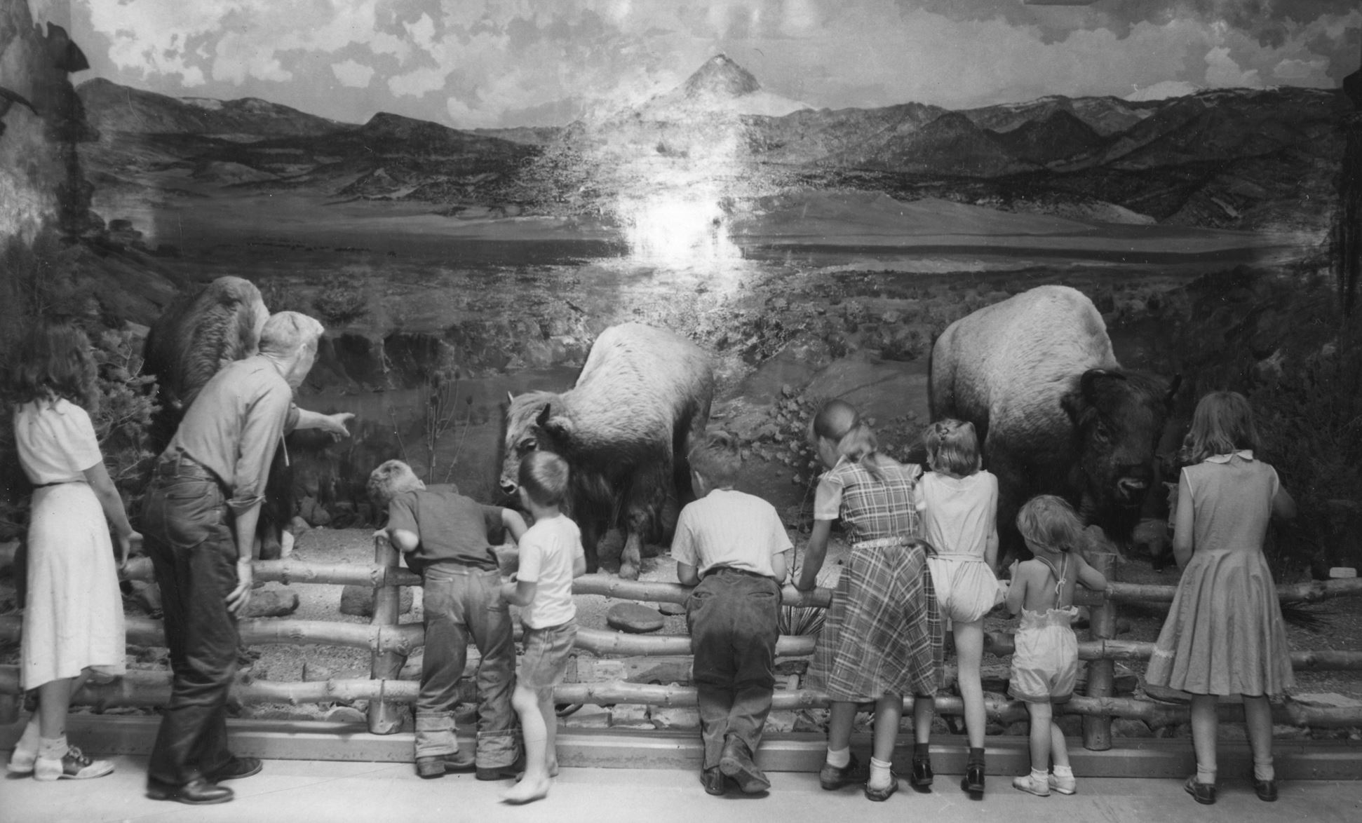 Grayscale image of children and man looking at stuffed bison. Object ID: 2014.009.027