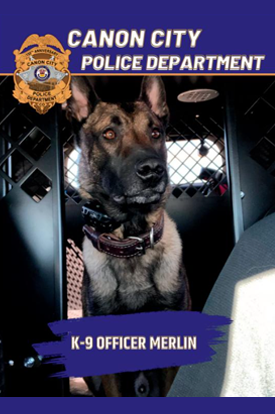 Photo of K9 Merlin