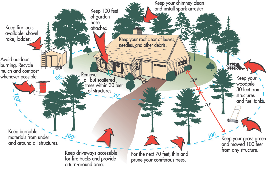 Defensible Space Image