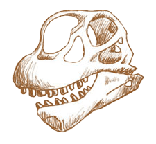 Camarasaurus skull graphic
