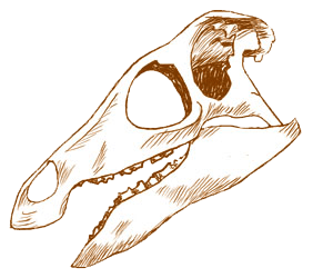 Graphic of skull of Camptosaurus dinosaur.