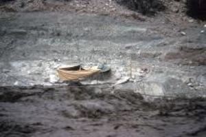 Color photo of a creek flooding.