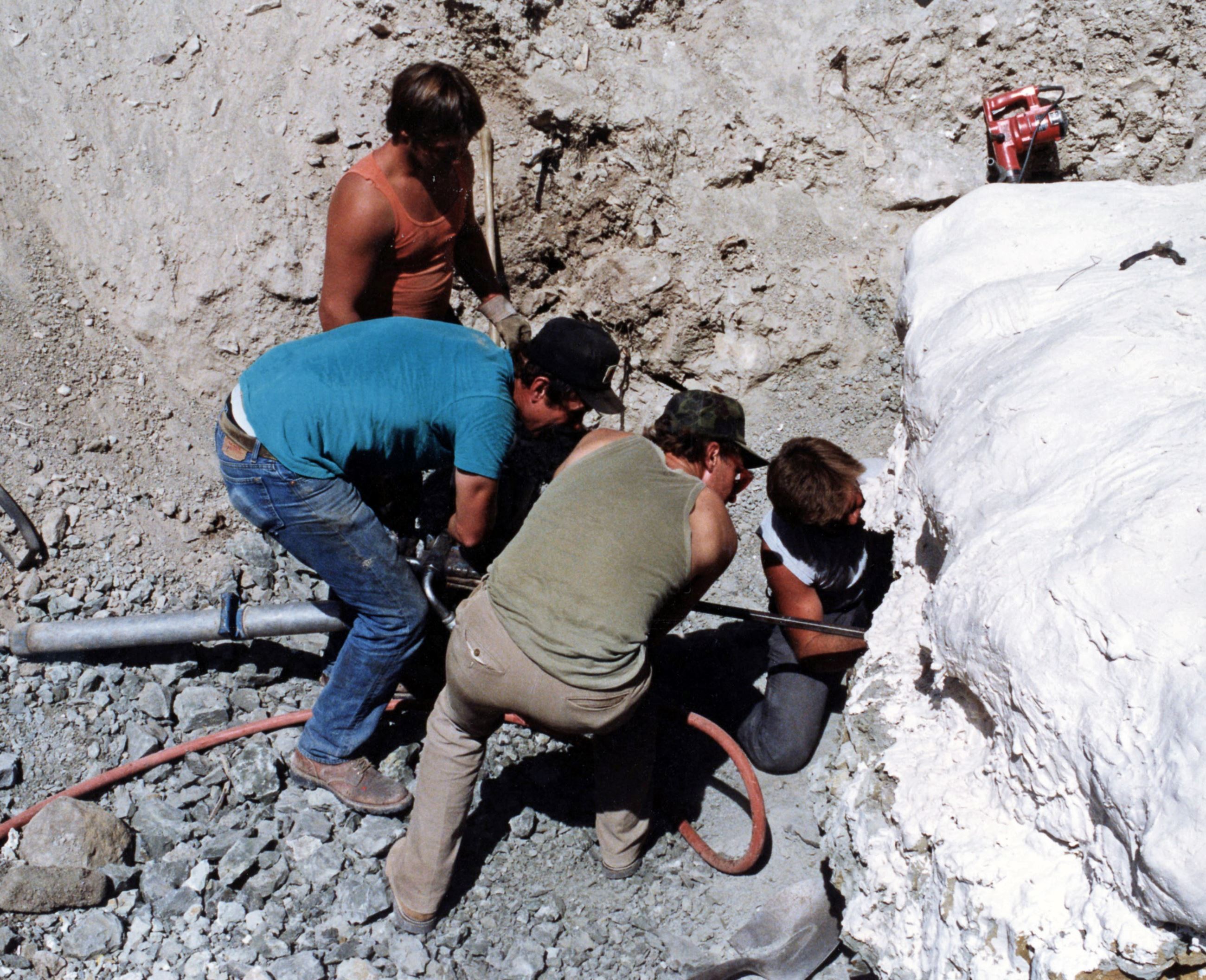 Color photo of a crew of people plaster jacketing a stegosaurus fossil. Circa 1992.