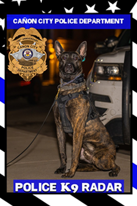 Photo of K9 Radar
